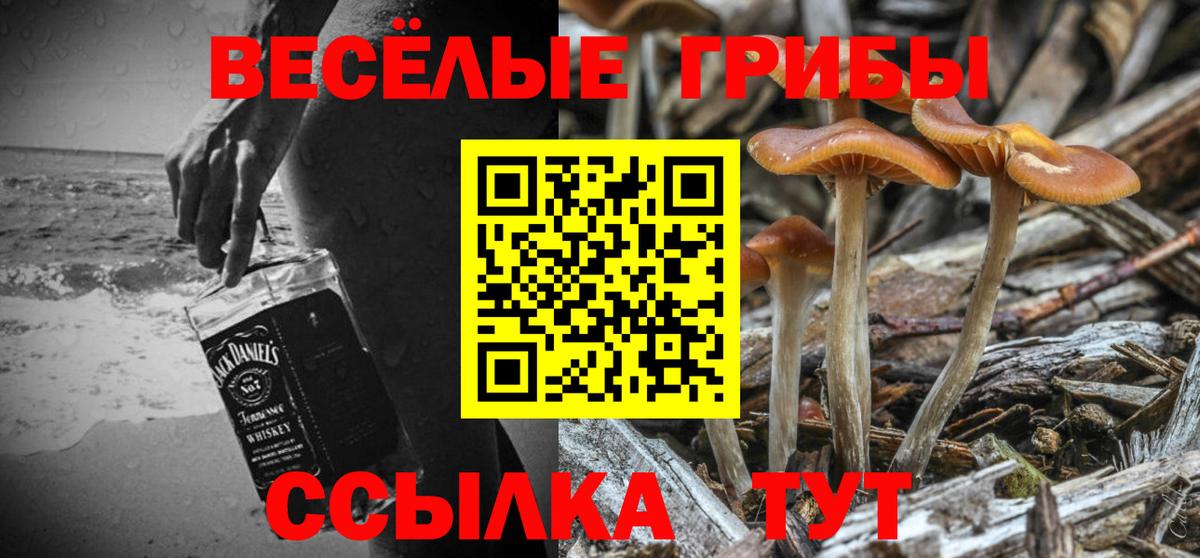 Галлюциногенные грибы GOLDEN TEACHER Заводоуковск